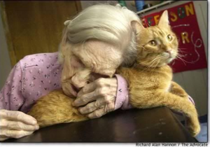 Zdjęcie jest bardzo poruszające, bowiem przedstawia kobietę w nobliwym wieku, która przytula się do kota, opiera na nim głowę. Kot jest piękny, rudy niczym rydz. Widać na tym zdjęciu, jak bardzo są do siebie przywiązani.